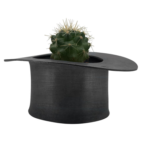 Cactus in a Hat
